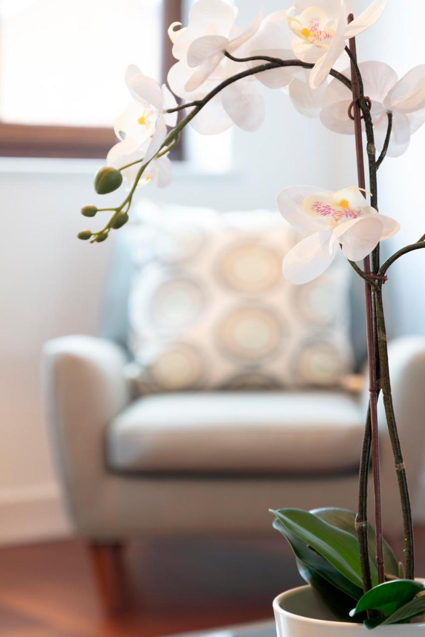Hampden Apartments - The Henry Windsor Extérieur photo